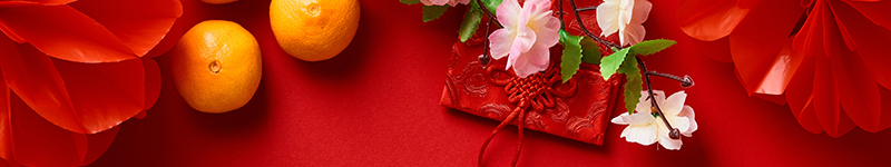 gift,symbol,year,greeting,happy,red,spring,chinese,japanese,rabbit,above,decoration,new year,new,festival,overhead,oriental,flat lay,packet,celebration,envelope,traditional,background,poster,card,lucky,template,fruit,concept,beijing,holiday,gold,ornament,paper,design,lunar,table,mandarin,top view,texture,zodiac,festive,2023,asian,banner,korean,flower,orange,china,culture;